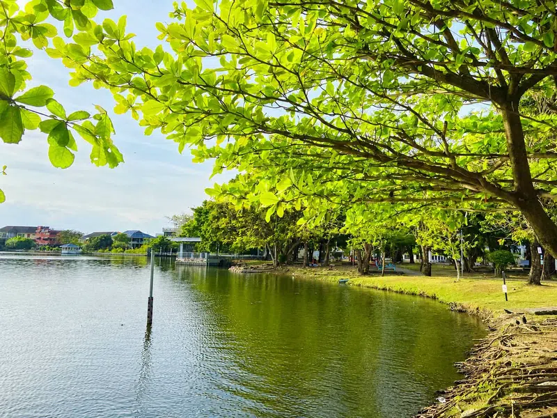 4BR House with Lake View near BTS Sammakorn - Photo 15